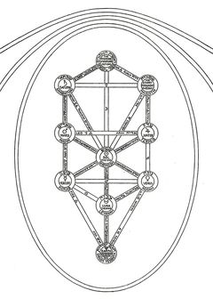 Diagrama da Árvore da Vida